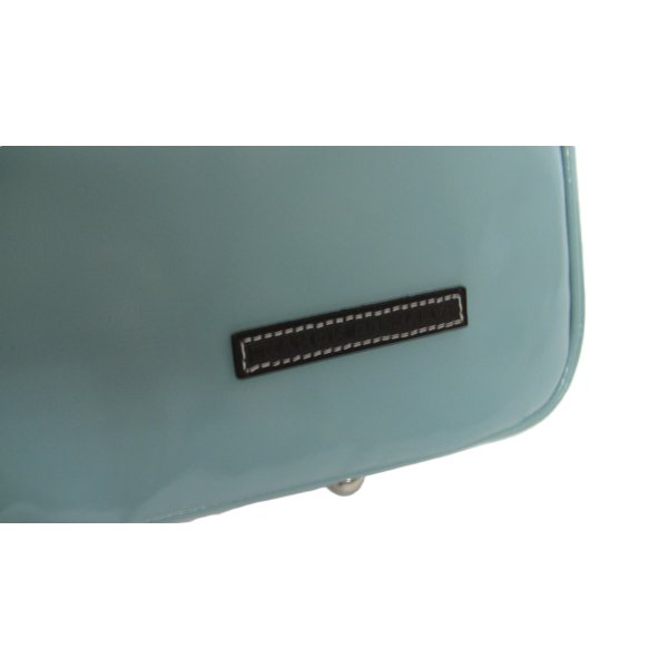 画像3: リュック式 ダブルケースガード「Gabriel 3/wf」（フルート・オーボエ・クラリネット対応）ミント / チョコ