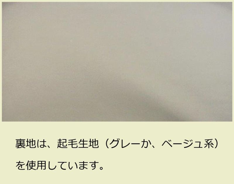 画像: リュック式 三線（さんしん）プロテクションケース「Shimakaji2/wf」オフホワイトスペシャルコーティング