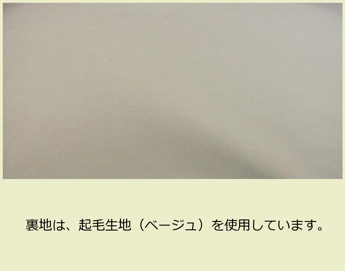 画像: H管＆C管対応 ハンドメイド フルート＆ピッコロ 横置き型ケースガード「Grand Master3/wf」ミント / チョコ・シルバー